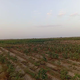 Suwçy işgär gerek