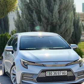 Toyota Corolla 2020