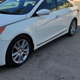 Hyundai Sonata 2011
