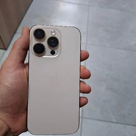 16pro