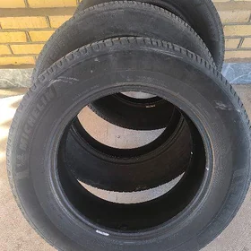 tigir 225 65 17