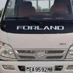 Forland H2 2013