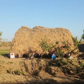 ýorunja
