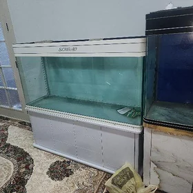 akwaryum
