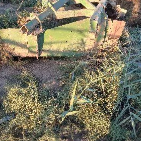 mtz pel cekyan
