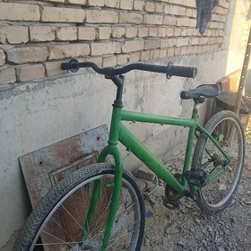 Turkmenistan tigir
