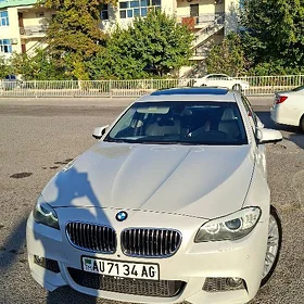 BMW 530 2010