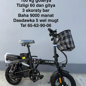 tokly tigir 14 lik