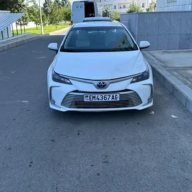 Toyota Corolla 2022