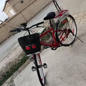 welsepet 27 lik