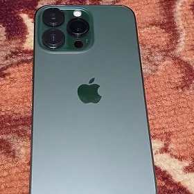 13. pro