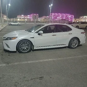 Toyota Camry 2020