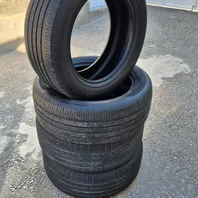 Teker 255/55/19