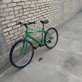 Salcona Turkmenistan Tigir