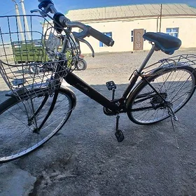 tigir