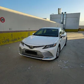 Toyota Camry 2023