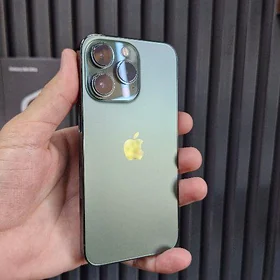 13pro
