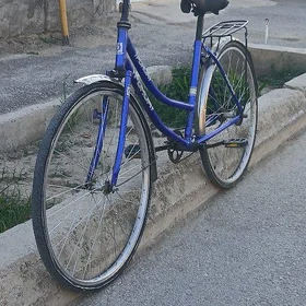 tıgır