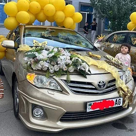 Toyota Corolla 2011