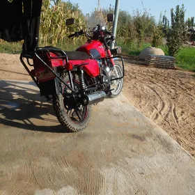 Fekon FK150-8G 2015