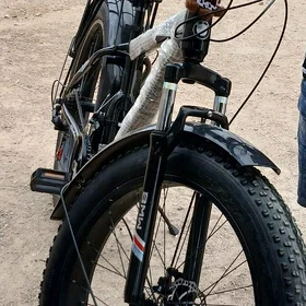 batca ayak