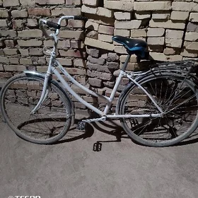 26 lyk
26 lyk