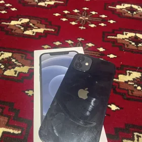 iPhone 12