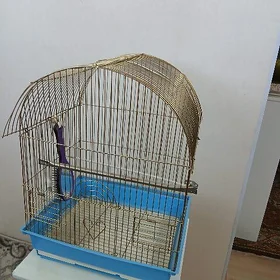 клетка
