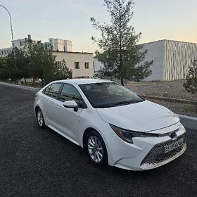 Toyota Corolla 2021