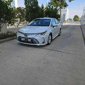 Toyota Corolla 2021