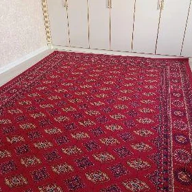Iran haly