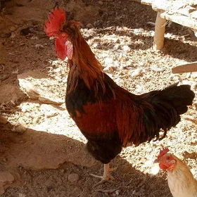 seyran.p
seyran.
