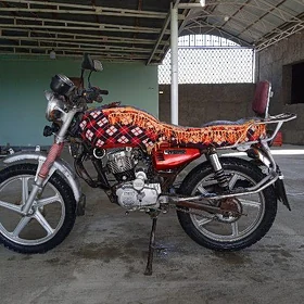 Fekon FK150-8G 2010