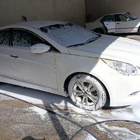 Hyundai Sonata 2010
