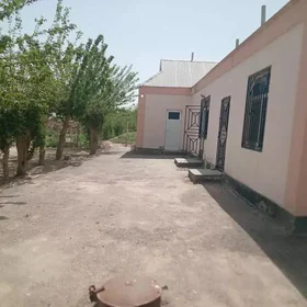Şatlyk jay