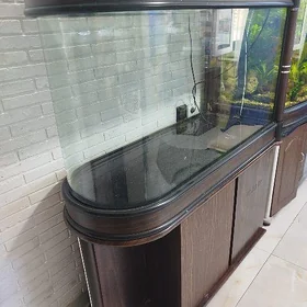 аквариум akwarium akvarium
