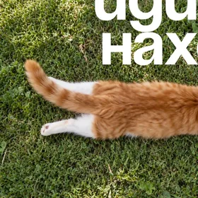Котёнок