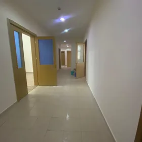 ✅Arenda 14 tapgyr 5 kom