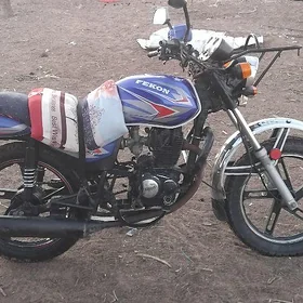 Fekon FK200-14G 2015