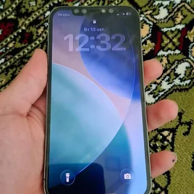 iphone 12pro