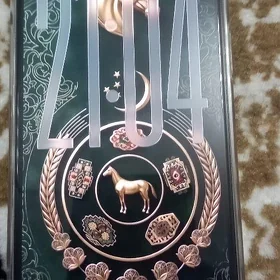 ipfone 13 pro