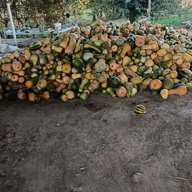 kädi