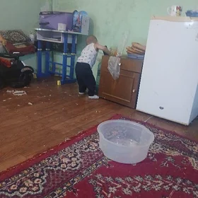 орвиса холодильник.