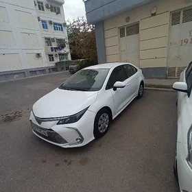 Toyota Corolla 2022