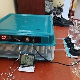 inkubator