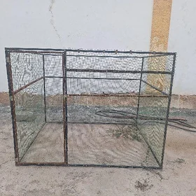 towuk ketek