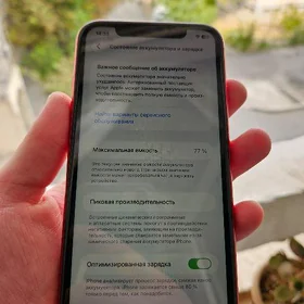 iPhone 11 gyzyl/red