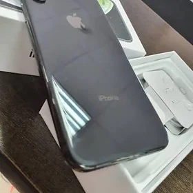 IP xs max 256