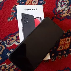 a13