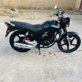 Fekon FK150-8G 2014